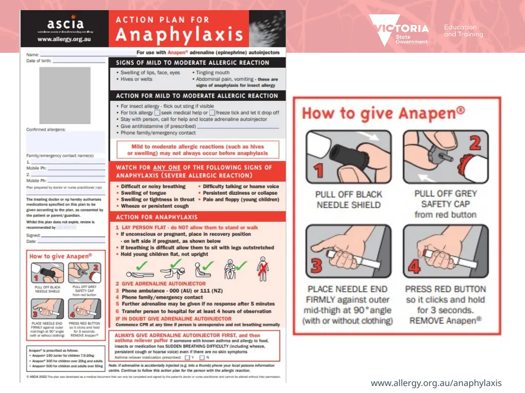 For all Victorian Schools Anaphylaxis Management - slide 7 of 9