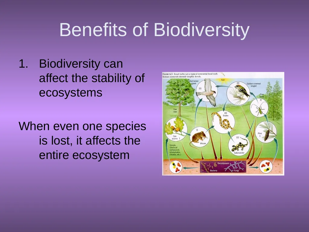 Chapter 10 Biodiversity 10.1 What is biodiversity? - slide 4 of 41