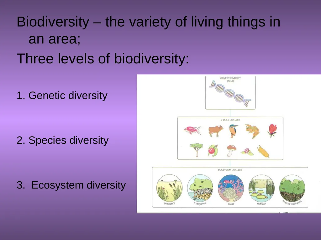 Chapter 10 Biodiversity 10.1 What is biodiversity? - slide 2 of 41