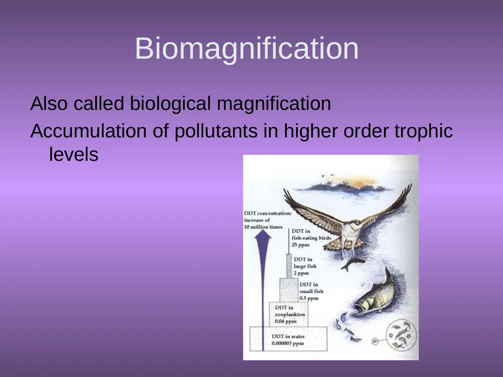 Chapter 10 Biodiversity 10.1 What is biodiversity? - slide 26 of 41