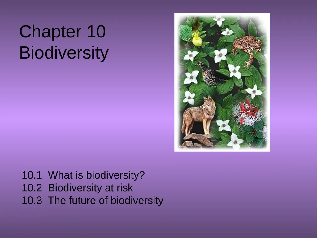 Chapter 10 Biodiversity 10.1 What is biodiversity? - slide 1 of 41