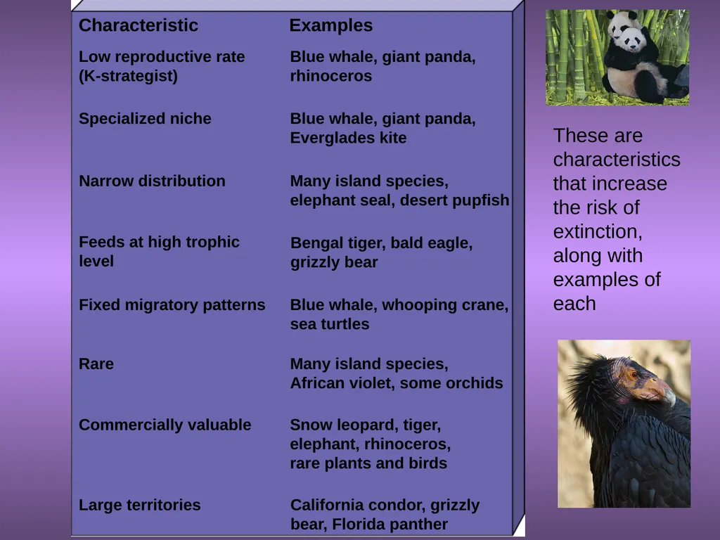 Chapter 10 Biodiversity 10.1 What is biodiversity? - slide 18 of 41