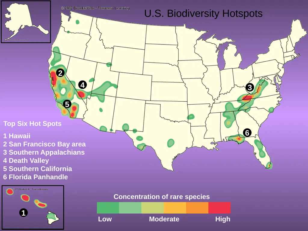 Chapter 10 Biodiversity 10.1 What is biodiversity? - slide 32 of 41