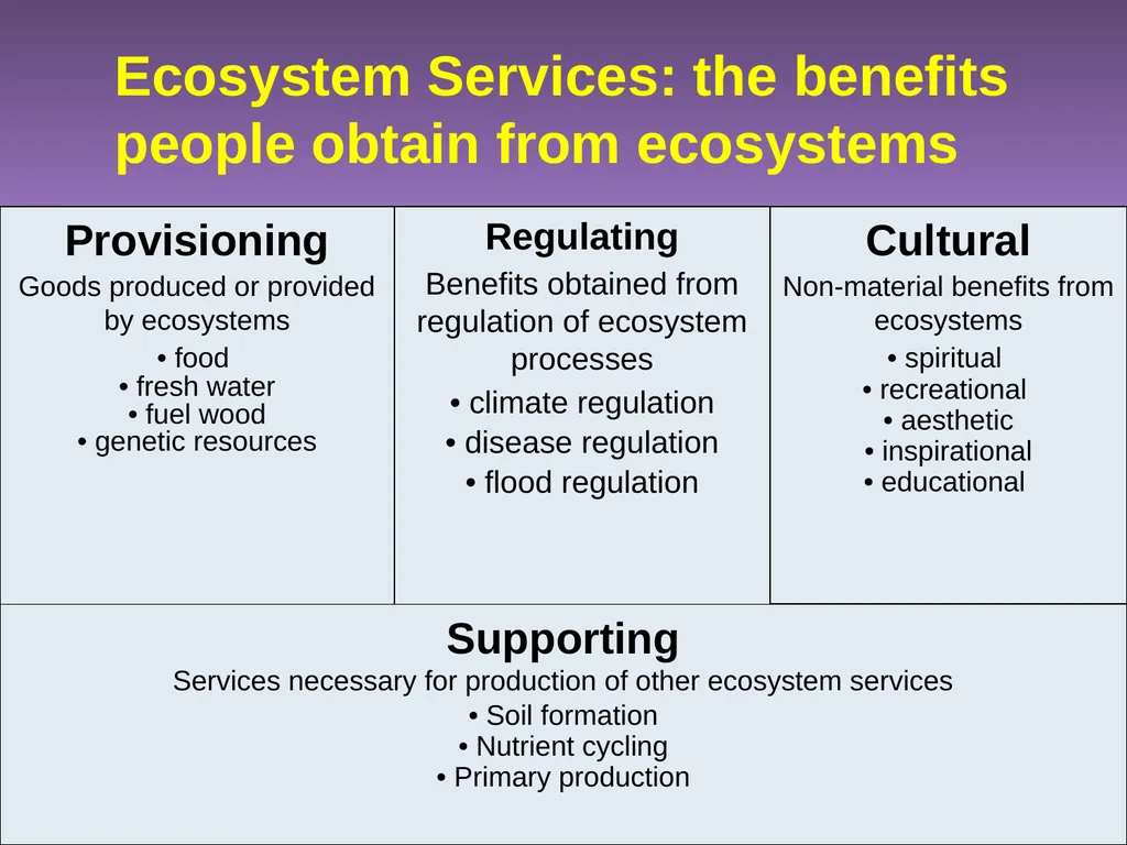 Chapter 10 Biodiversity 10.1 What is biodiversity? - slide 7 of 41