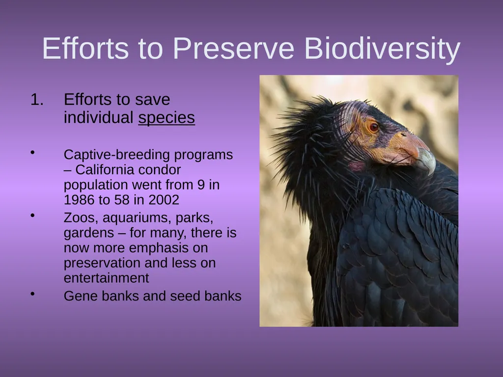 Chapter 10 Biodiversity 10.1 What is biodiversity? - slide 33 of 41