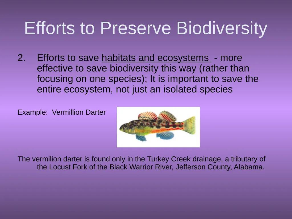 Chapter 10 Biodiversity 10.1 What is biodiversity? - slide 34 of 41