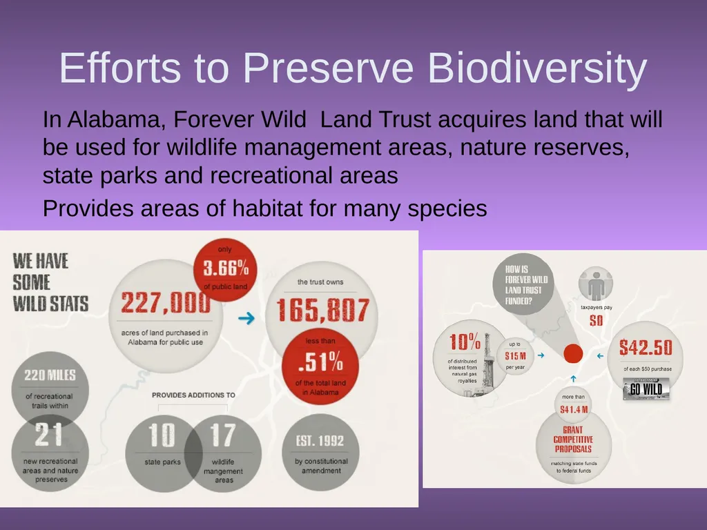 Chapter 10 Biodiversity 10.1 What is biodiversity? - slide 35 of 41