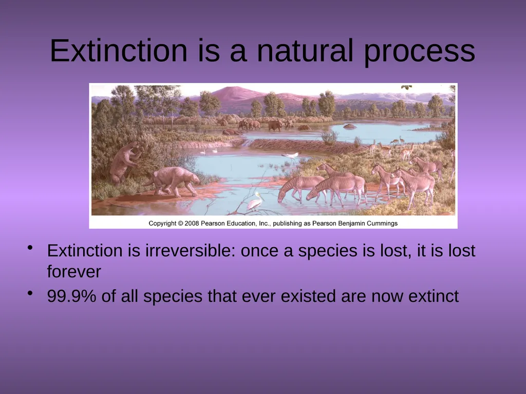 Chapter 10 Biodiversity 10.1 What is biodiversity? - slide 12 of 41