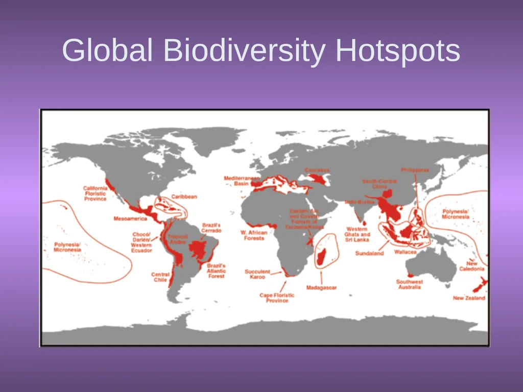 Chapter 10 Biodiversity 10.1 What is biodiversity? - slide 31 of 41