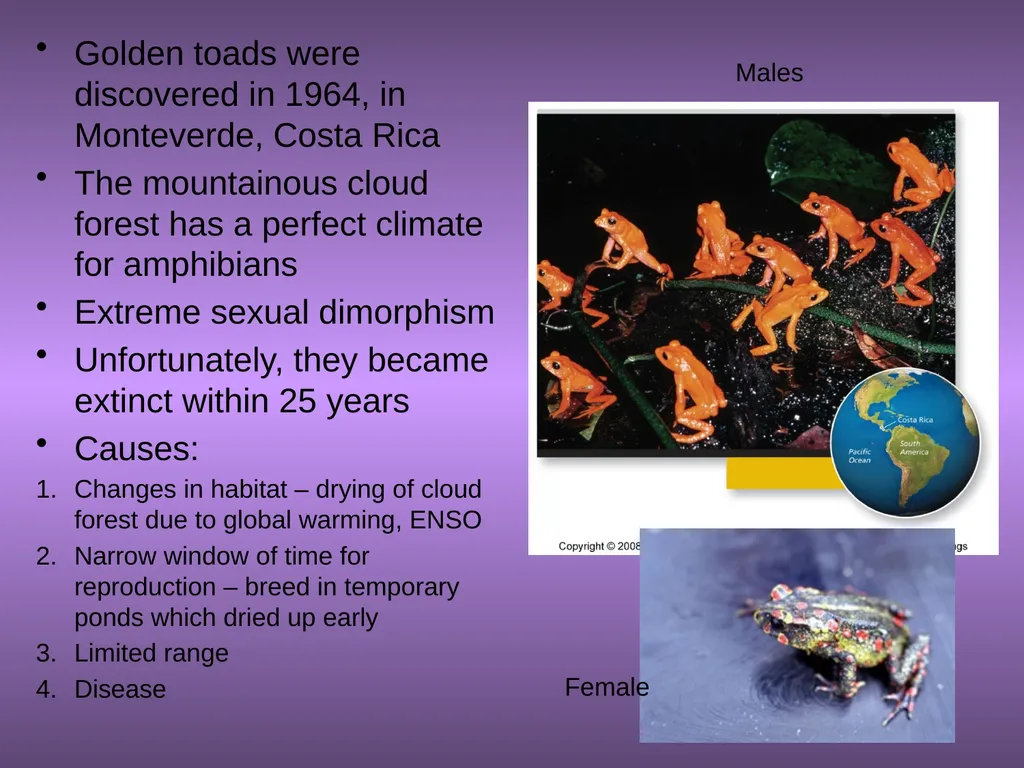 Chapter 10 Biodiversity 10.1 What is biodiversity? - slide 28 of 41