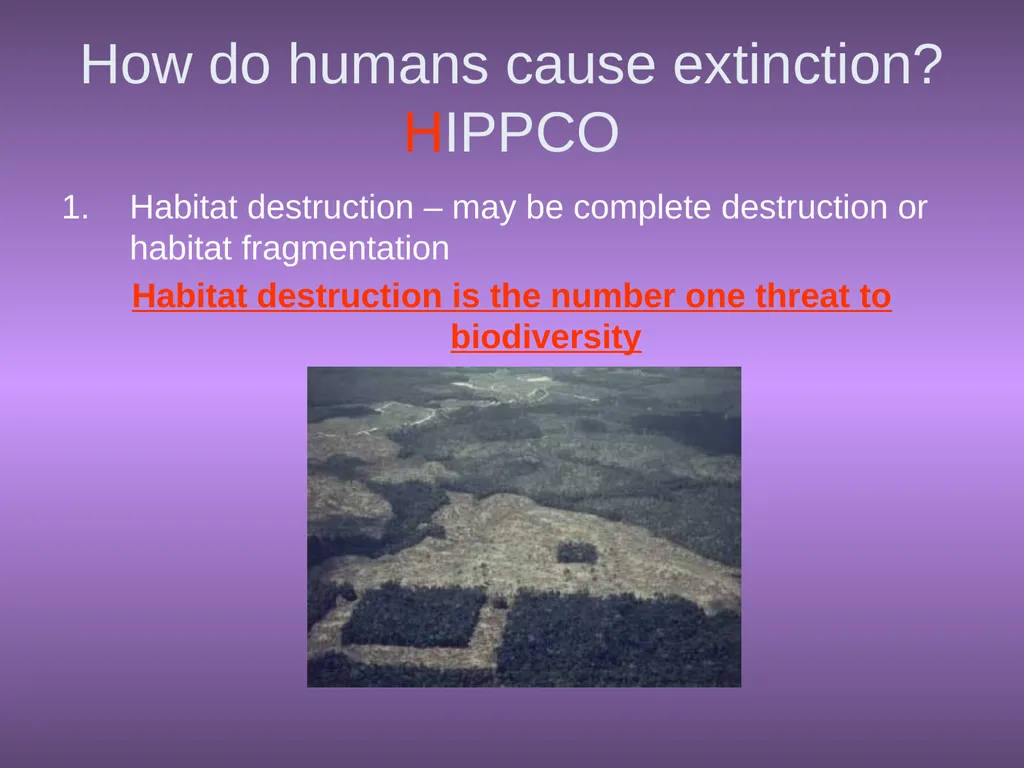 Chapter 10 Biodiversity 10.1 What is biodiversity? - slide 19 of 41