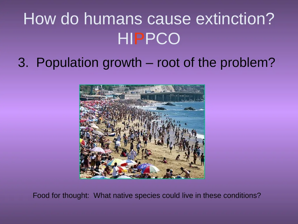 Chapter 10 Biodiversity 10.1 What is biodiversity? - slide 24 of 41