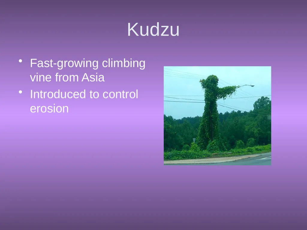Chapter 10 Biodiversity 10.1 What is biodiversity? - slide 22 of 41