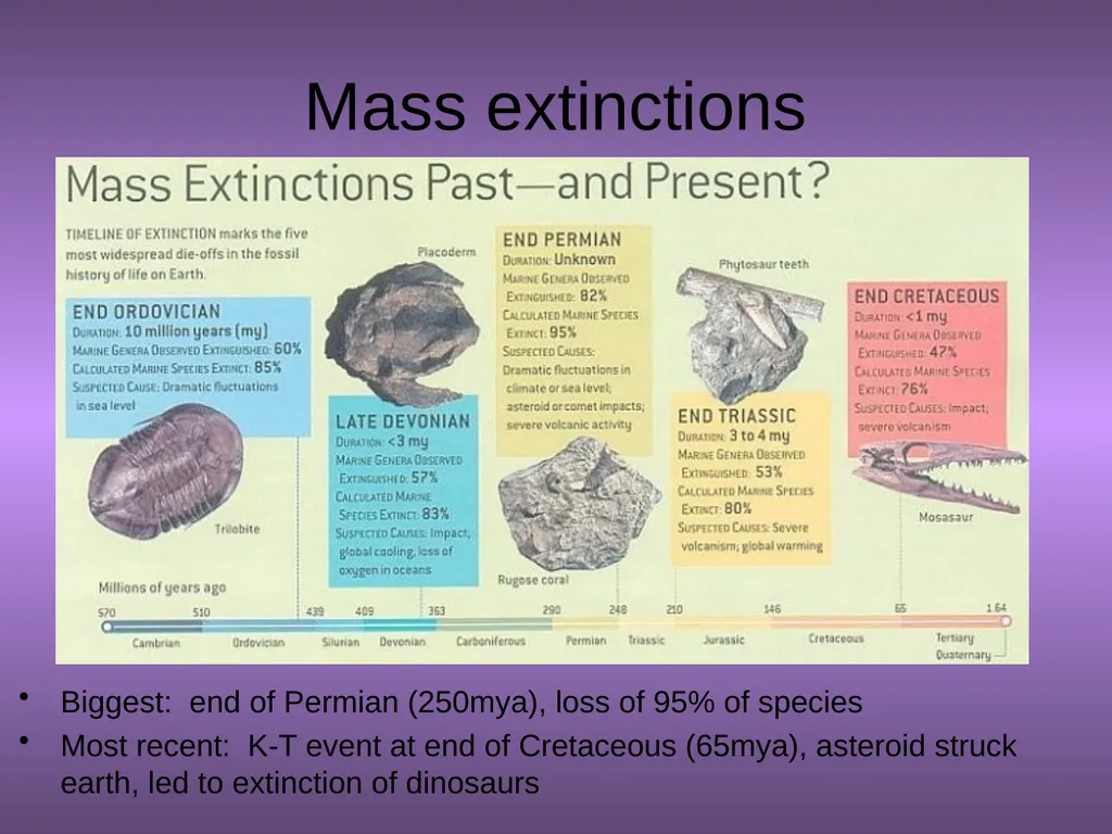 Chapter 10 Biodiversity 10.1 What is biodiversity? - slide 14 of 41