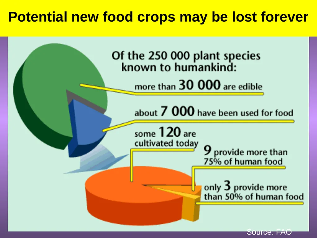 Chapter 10 Biodiversity 10.1 What is biodiversity? - slide 9 of 41