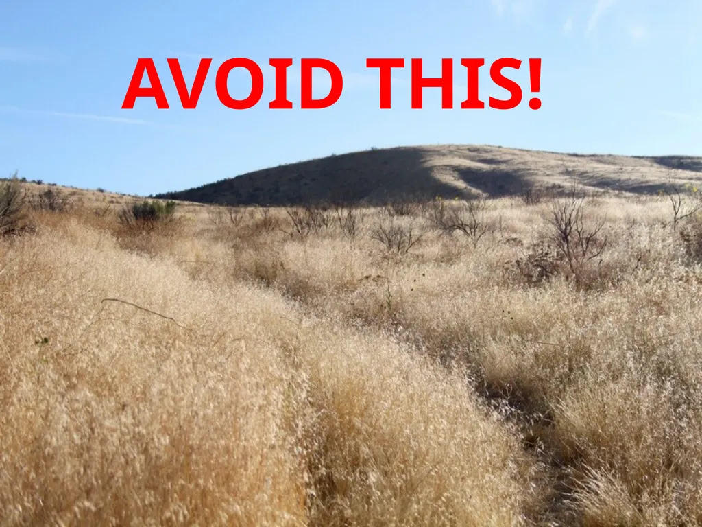 Succession in the Sagebrush Ecosystem During a - slide 13 of 13
