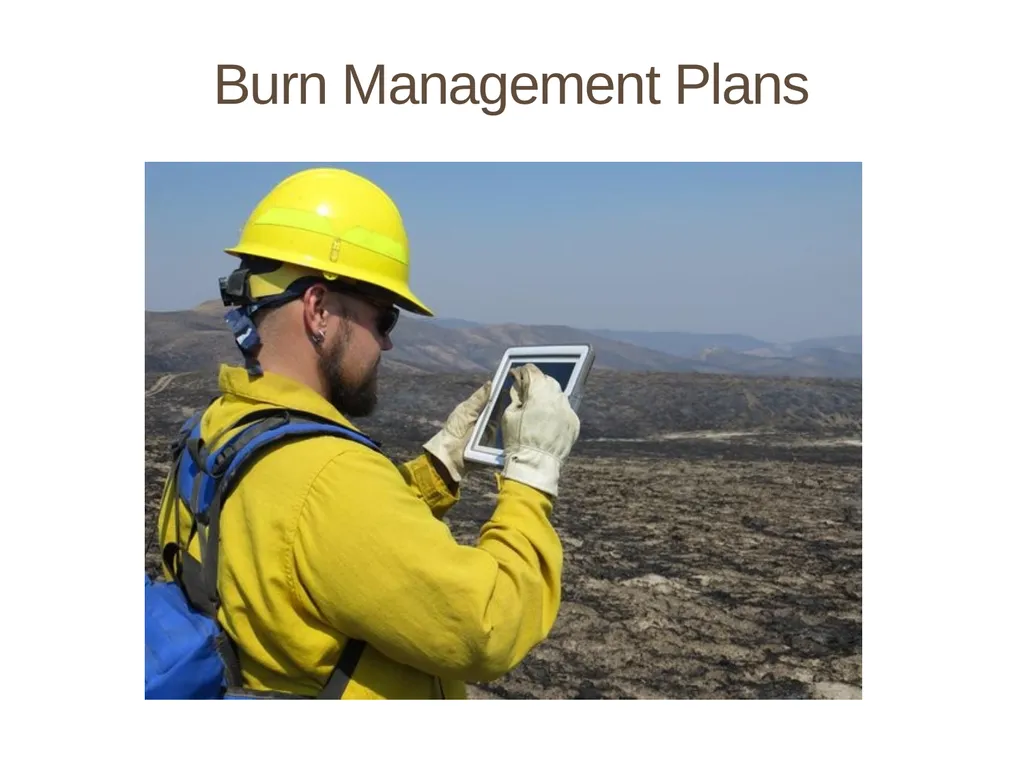 Succession in the Sagebrush Ecosystem During a - slide 10 of 13
