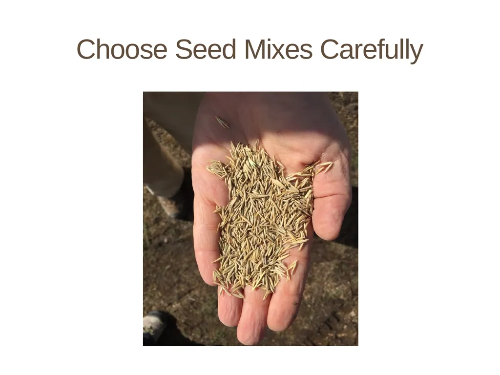 Succession in the Sagebrush Ecosystem During a - slide 12 of 13
