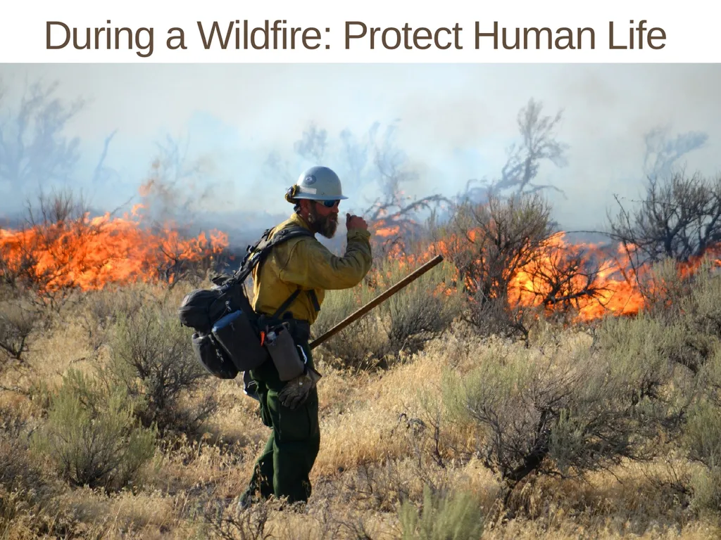 Succession in the Sagebrush Ecosystem During a - slide 2 of 13