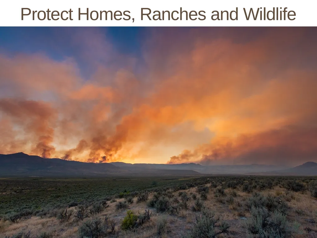 Succession in the Sagebrush Ecosystem During a - slide 3 of 13