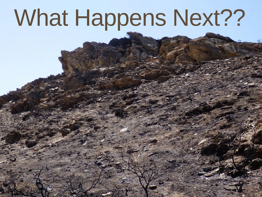 Succession in the Sagebrush Ecosystem During a - slide 4 of 13