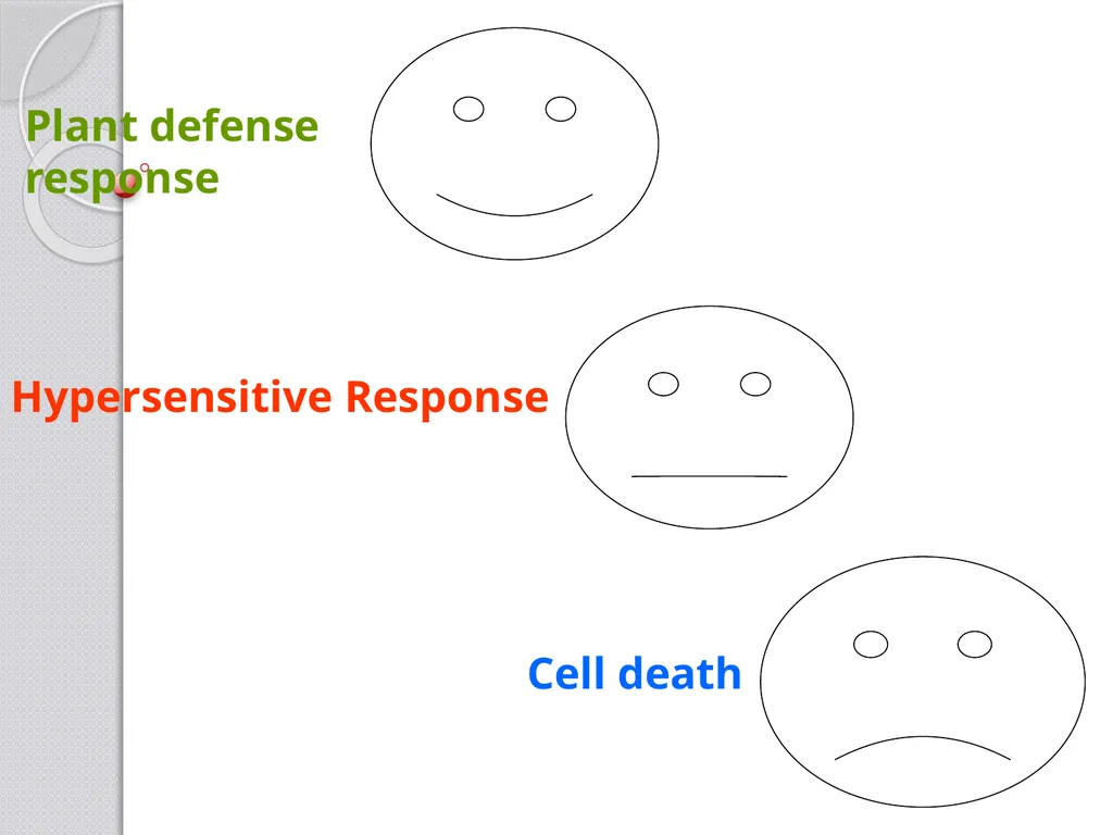 Inducible defense mechanisms in plants Classes of - slide 8 of 26