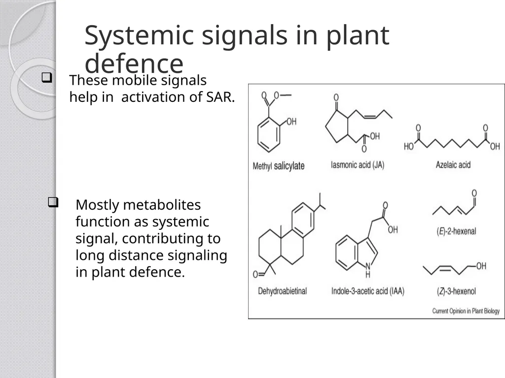 Inducible defense mechanisms in plants Classes of - slide 17 of 26