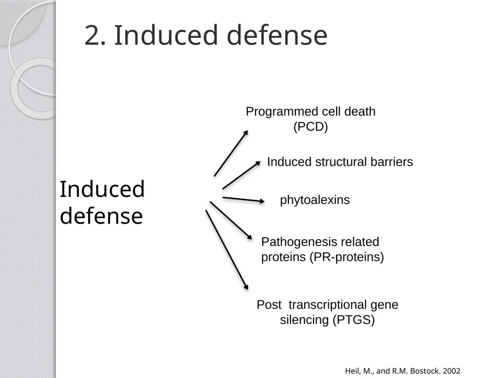 Inducible defense mechanisms in plants Classes of - slide 12 of 26