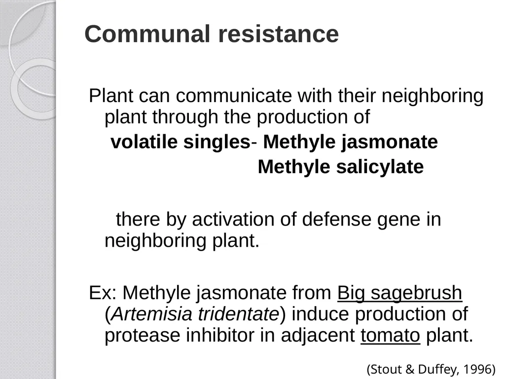 Inducible defense mechanisms in plants Classes of - slide 22 of 26