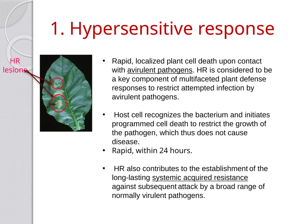 Inducible defense mechanisms in plants Classes of - slide 7 of 26