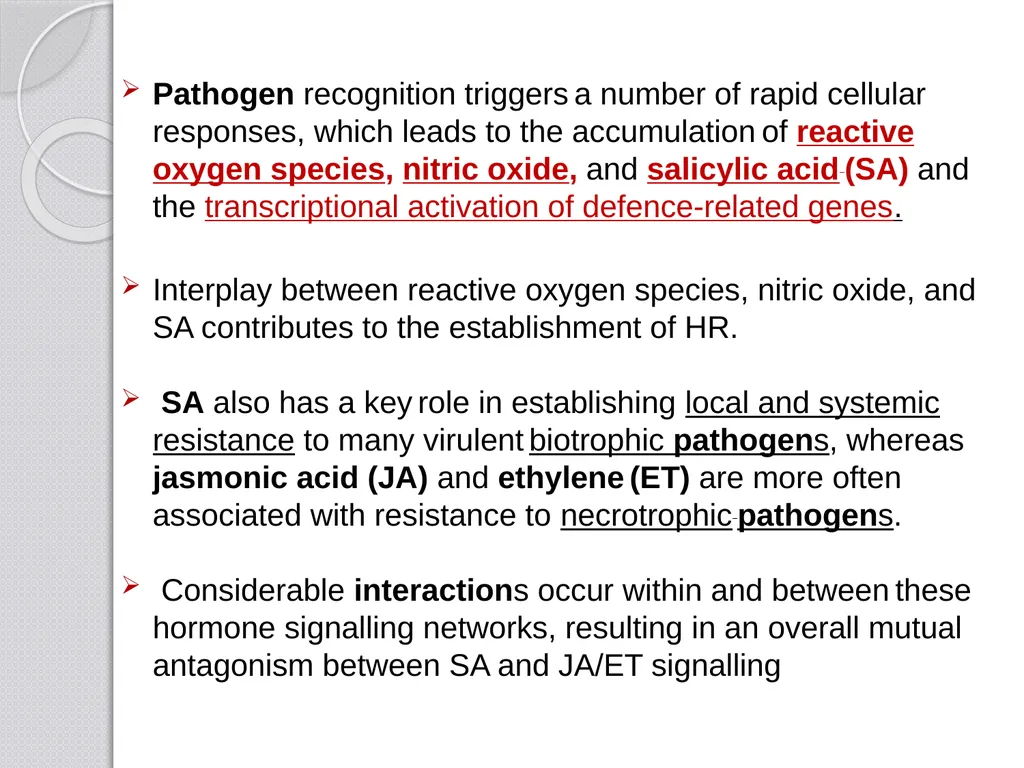 Inducible defense mechanisms in plants Classes of - slide 14 of 26