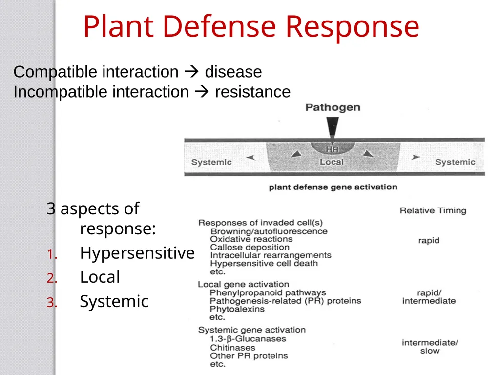 Inducible defense mechanisms in plants Classes of - slide 6 of 26