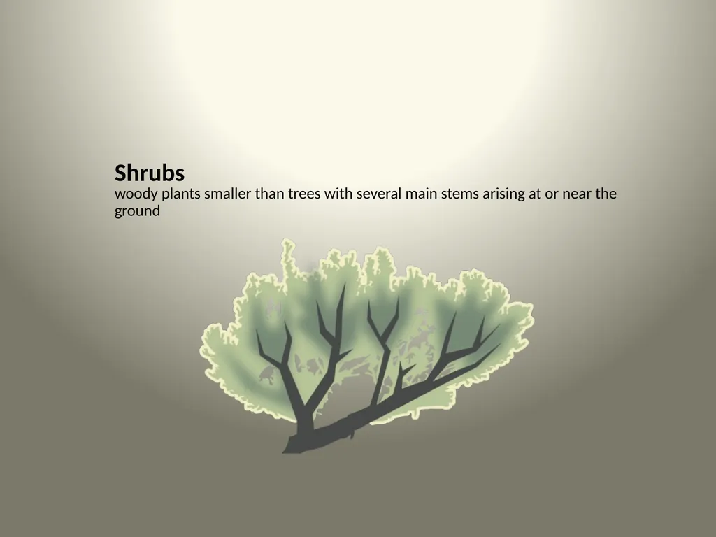 Native Plants of the Sagebrush Ecosystem Shrubs - slide 2 of 21
