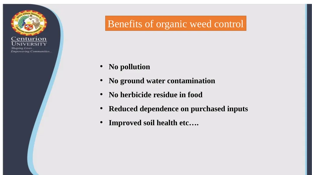 Center for Smart Agriculture Organic Farming - slide 6 of 7
