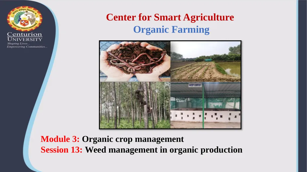 Center for Smart Agriculture Organic Farming - slide 1 of 7