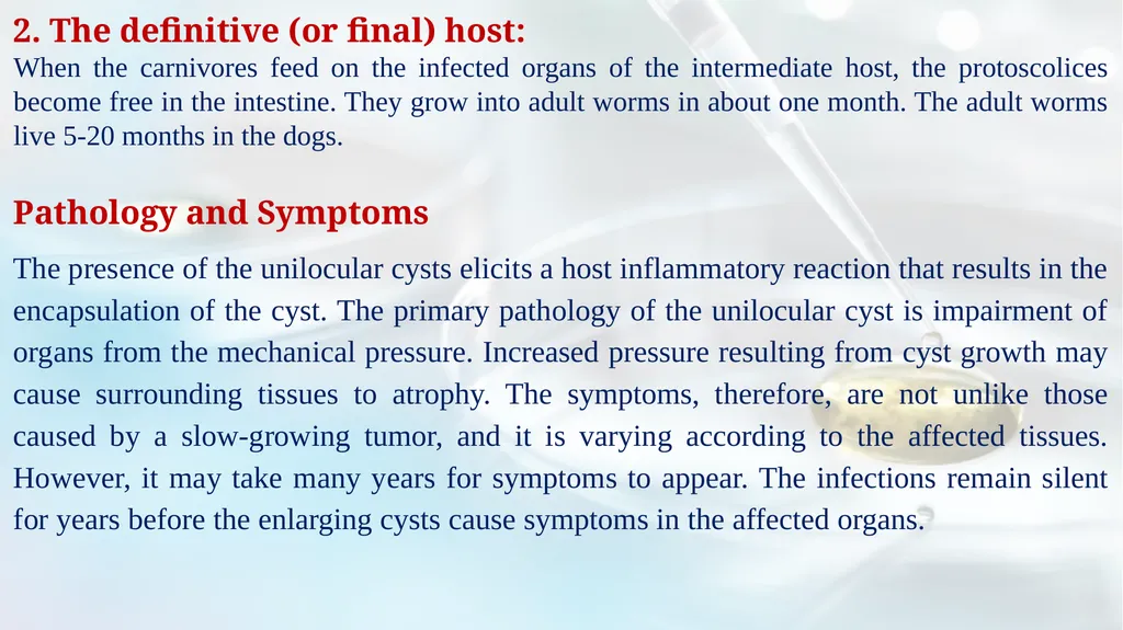 Lecture 5 Helminths-Cestodes Medical Parasitology - slide 24 of 27