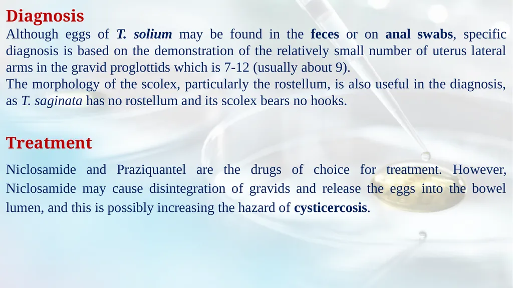 Lecture 5 Helminths-Cestodes Medical Parasitology - slide 12 of 27