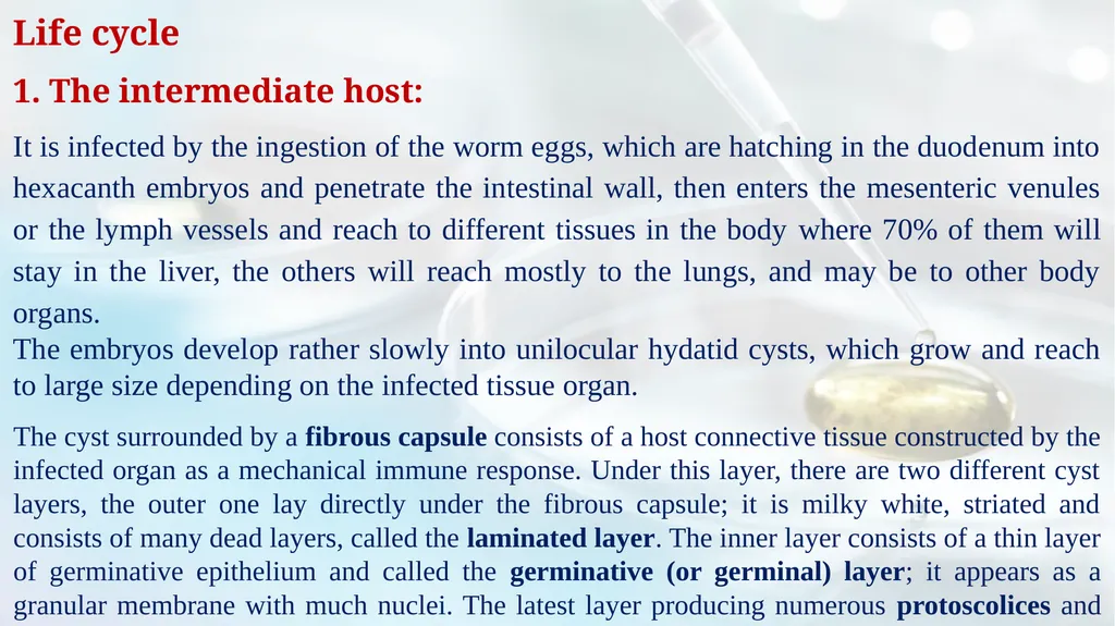 Lecture 5 Helminths-Cestodes Medical Parasitology - slide 19 of 27