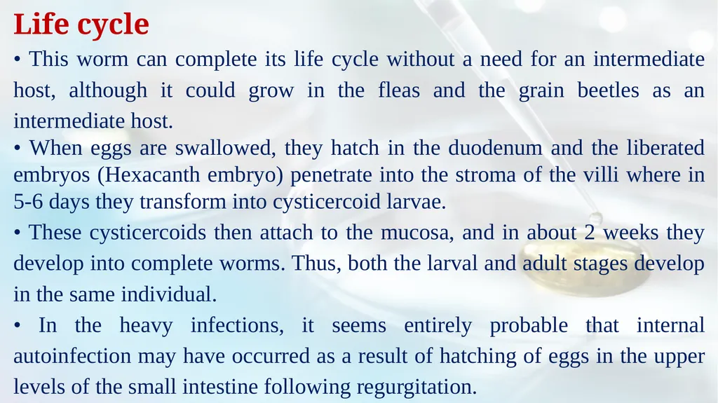 Lecture 5 Helminths-Cestodes Medical Parasitology - slide 16 of 27