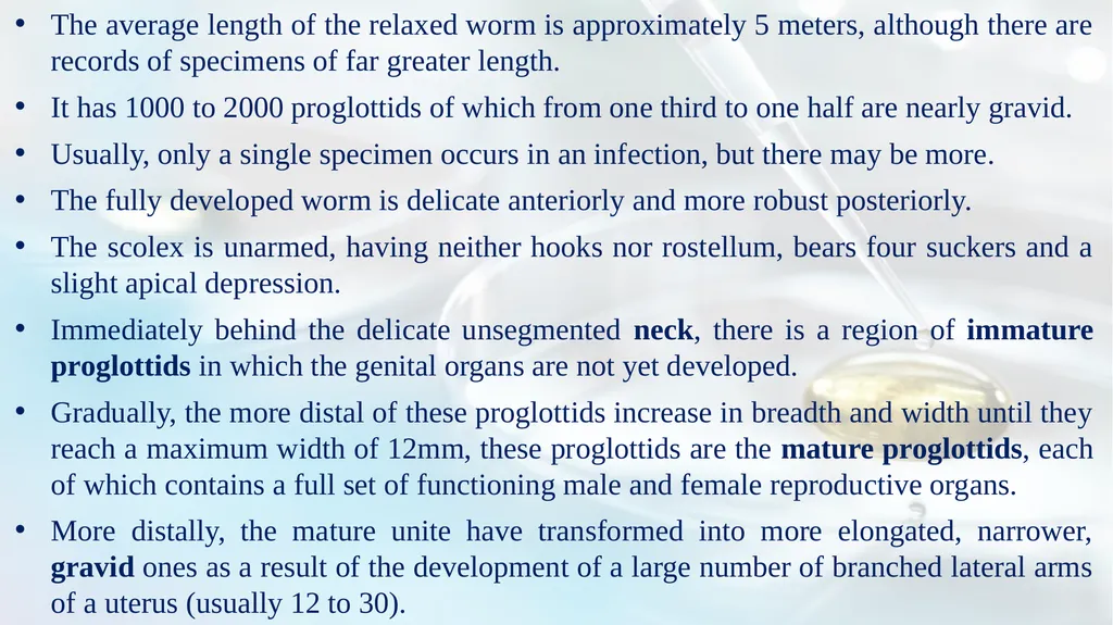 Lecture 5 Helminths-Cestodes Medical Parasitology - slide 3 of 27