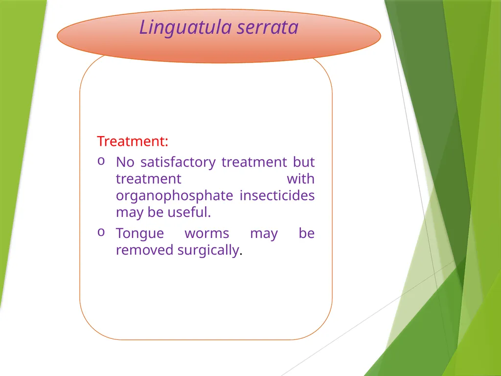 Image source: Google image Linguatula serrata Mk- - slide 9 of 11