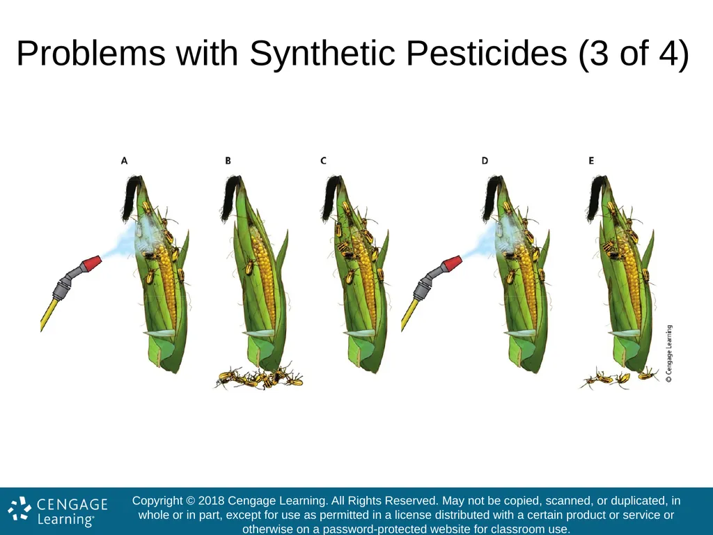 Living in the Environment 19 Edition Chapter 12 - slide 55 of 82