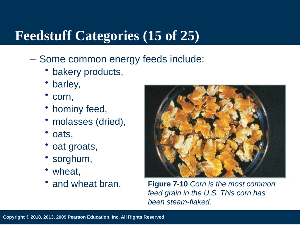 Introduction to Animal Science 6th Edition Chapter - slide 19 of 33