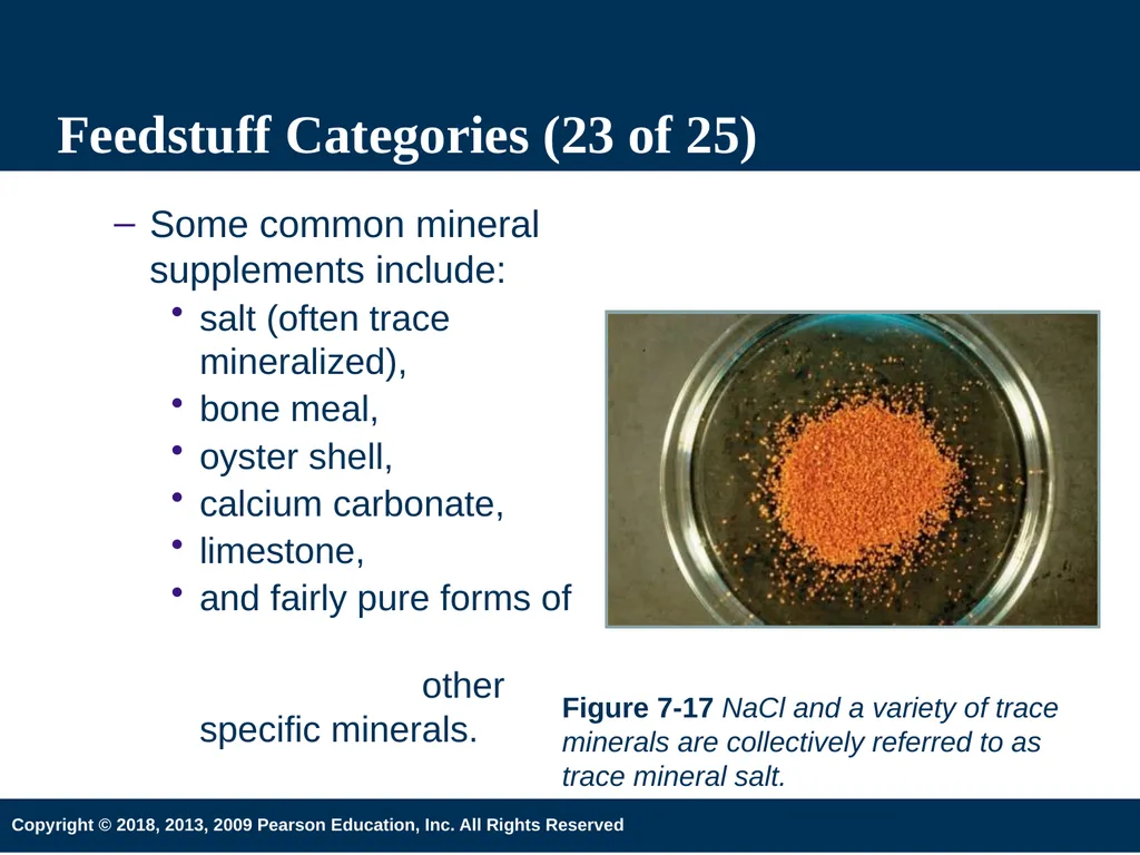 Introduction to Animal Science 6th Edition Chapter - slide 27 of 33