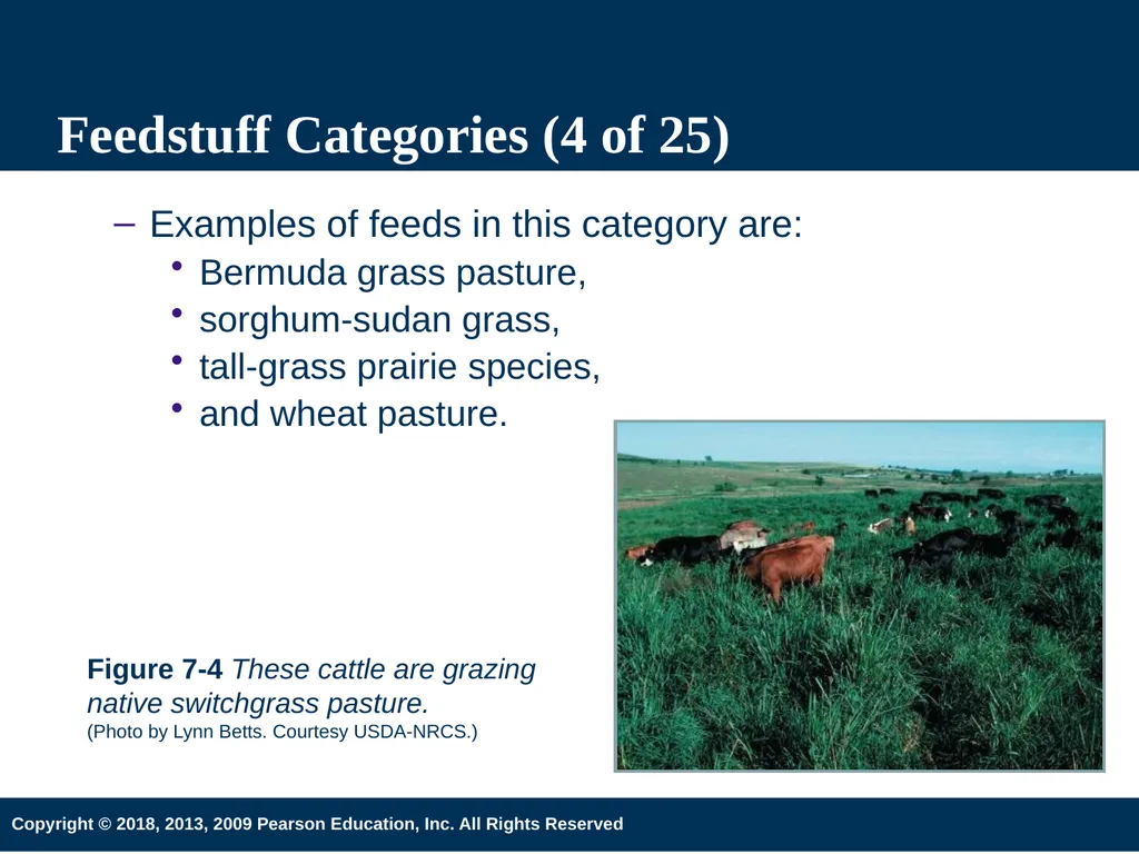 Introduction to Animal Science 6th Edition Chapter - slide 8 of 33