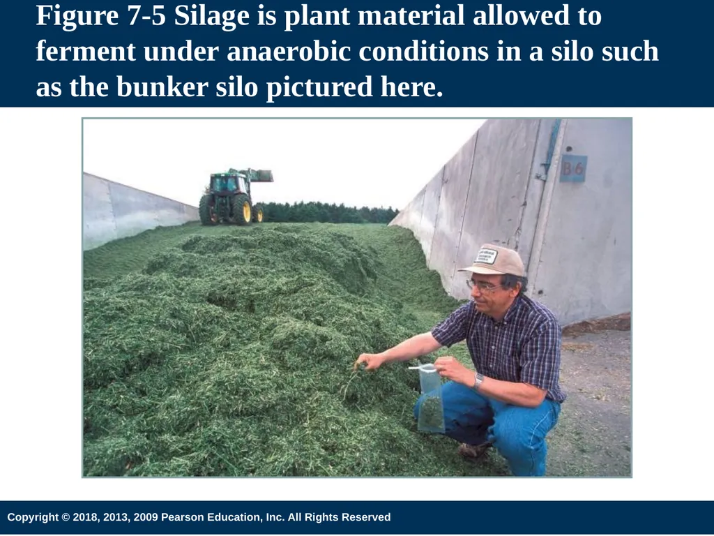 Introduction to Animal Science 6th Edition Chapter - slide 30 of 33