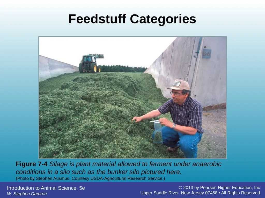 Feedstuffs Classification Chapter 7 W. Stephen - slide 10 of 35