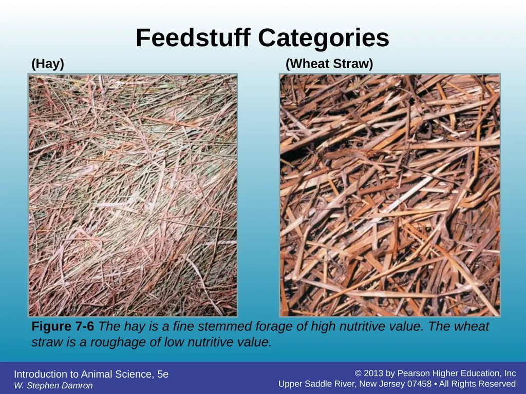 Feedstuffs Classification Chapter 7 W. Stephen - slide 12 of 35