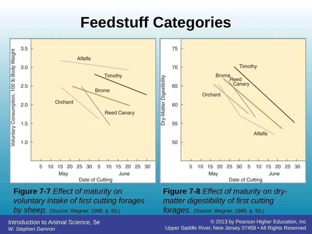Feedstuffs Classification Chapter 7 W. Stephen - slide 18 of 35