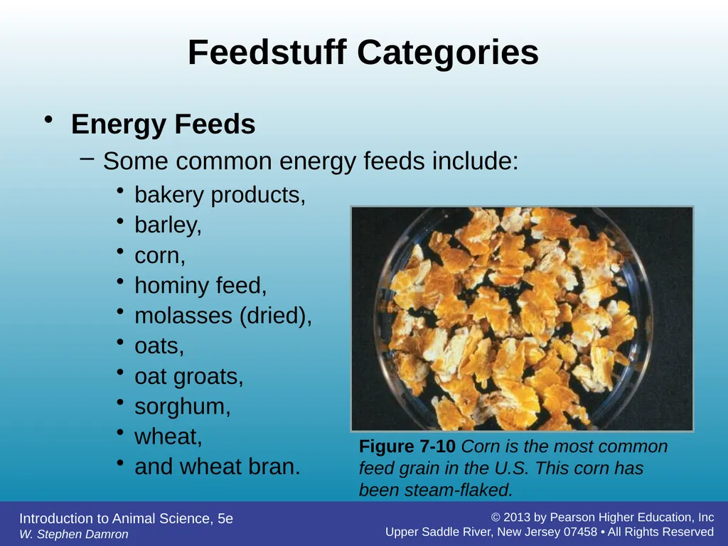 Feedstuffs Classification Chapter 7 W. Stephen - slide 22 of 35